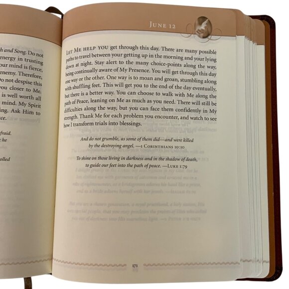 Jesus Calling 365-Day Devotional By Sarah Young Large Text Leathersoft Book - Picture 5 of 7